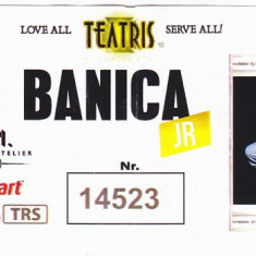 Bilet intrare folosit la concert Stefan Banica Jr, 12 feb 2016