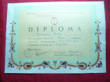Diploma UCFS -Campion RPR Inot la 100m liber ,Seniori -1963, Club Steaua