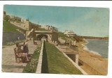 @carte postala(ilustrata)-EFORIE-Faleza