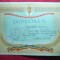 Diploma UCFS -Campion RPR Inot la 400m liber ,Junior I -1961, CCA (Steaua)