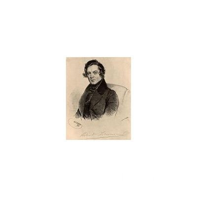 SCHUMANN - Symphonie nr. 1 op. 38 * Symphonie Nr. 4 op. 120 (vinil) foto