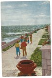 @carte postala(M.Ionescu)-EFORIE-Faleza