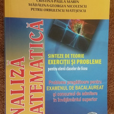 Analiza matematica: sinteze de teorie, exercitii si probleme pentru elevii