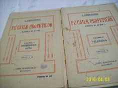 pe caile profetilor-i. chiru-nanov- editia II- vol I +vol II- 1922 foto