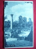 Ilustrata- Bucuresti - Vedere din Cismigiu - interbelica
