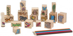 Set Stampile Jungla Melissa And Doug foto