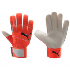 Manusi Portar Puma Evo Speed 5.4 - Marimi diponibile 7,8,9,10,11 foto