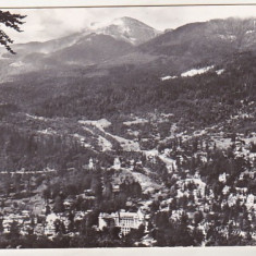 bnk cp Sinaia - Vedere de la Piscul Cainelui - uzata