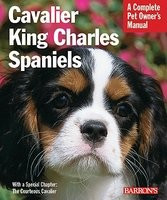 Cavalier King Charles Spaniels: Everything about Purchase, Care, Nutrition, Behavior, and Training foto