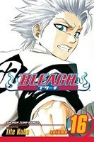 Bleach, Volume 16 foto