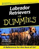 Labrador Retrievers for Dummies foto