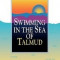 Swimming in the Sea of Talmud