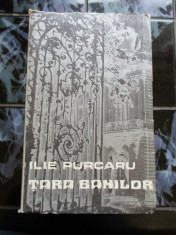 Tara banilor - Ilie Purcaru foto