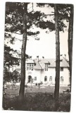 @carte postala(ilustrata)-COVASNA-Malnas