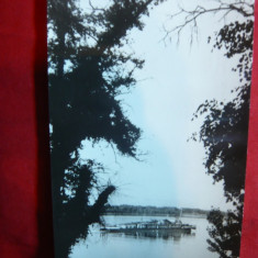 Ilustrata - Nava pe Dunare la Calafat , anii '60