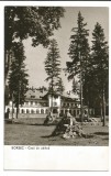 @carte postala(ilustrata) -BORSEC -CASA DE ODIHNA