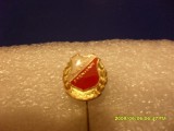 insigna FK Proleter Zrenianin
