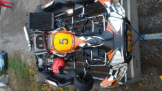 Kart CRG KF 125 motor KM Junior impecabil sigilat FRK 2015 complet fara accident foto