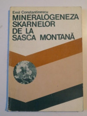 MINERALOGENEZA SKARNELOR DE LA SASCA MONTANA de EMIL CONSTANTINESCU 1980 foto