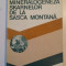 MINERALOGENEZA SKARNELOR DE LA SASCA MONTANA de EMIL CONSTANTINESCU 1980