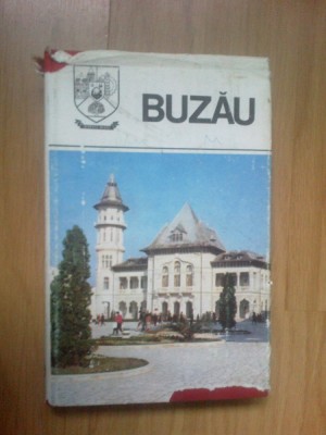 k4 Judetele patriei - Buzau foto