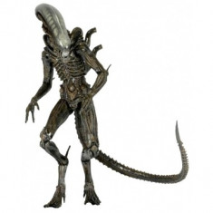 Aliens Action Figures 18 cm Series 6 Isolation Xenomorph foto