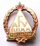 INSIGNA UNGARIA comunista Torzsgarda AFV ELELM M - 22 x 19 mm **, Europa