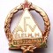 INSIGNA UNGARIA comunista Torzsgarda AFV ELELM M - 22 x 19 mm **