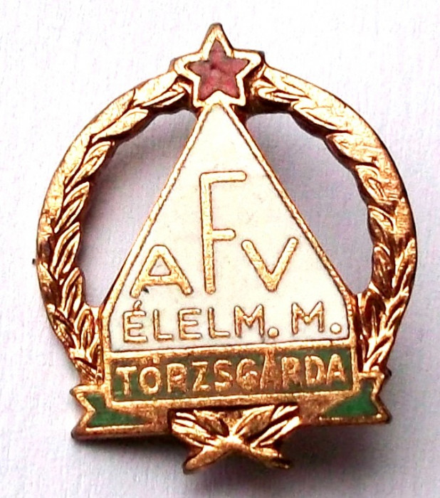 INSIGNA UNGARIA comunista Torzsgarda AFV ELELM M - 22 x 19 mm **