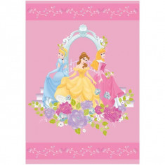 Covor copii Princess model 101 160x230 cm Disney foto