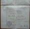 Foto  - 3