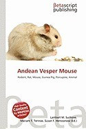 Andean Vesper Mouse foto