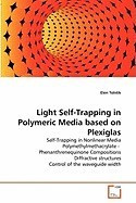 Light Self-Trapping in Polymeric Media Based on Plexiglas foto