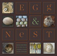 Egg &amp;amp; Nest foto