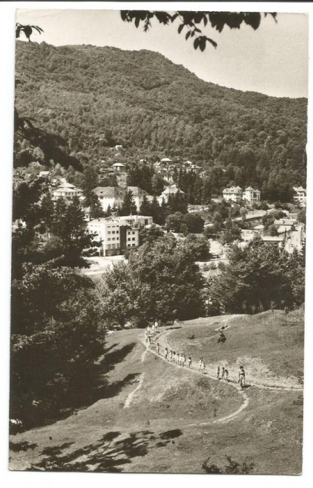 @carte postala(ilustrata) -OLANESTI