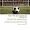 2010 Fifa World Cup