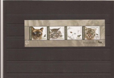 Hungary - bl. 295 pisici 2005 foto