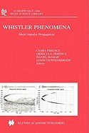 Whistler Phenomena: Short Impulse Propagation foto