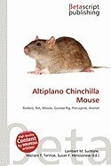 Altiplano Chinchilla Mouse foto