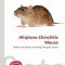 Altiplano Chinchilla Mouse