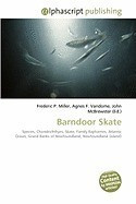 Barndoor Skate foto