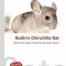 Budin&#039;s Chinchilla Rat