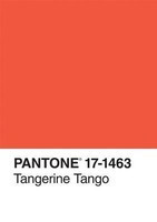 Pantone Tangerine Tango Color of the Year Journal foto