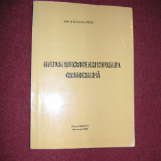 Utilaje specifice din industria carbochimica - Anca Penu