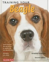 Training Your Beagle foto