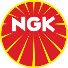 NGK - BUJIE - BR2LM foto