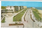 @carte postala(ilustrata)-MANGALIA -PE FALEZA