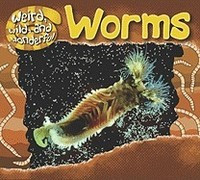 Worms foto