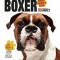 Boxer