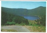 @carte postala(ilustrata)-HARGHITA-Lacul Sf. Ana